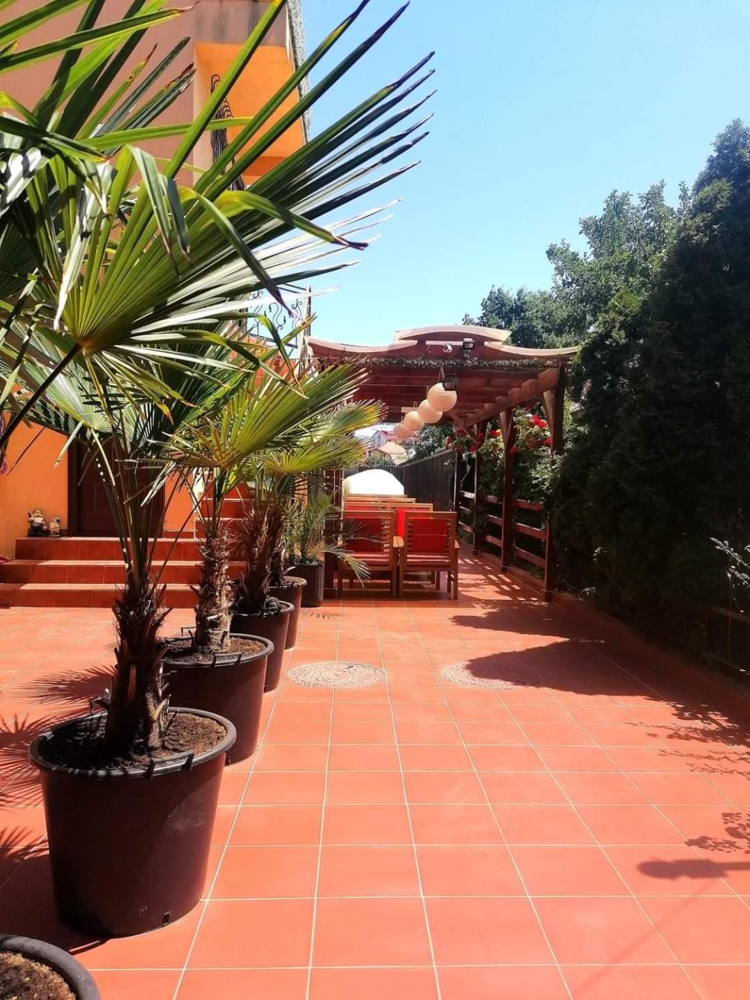 Vila Floarea Etiquette Costineşti Exterior foto