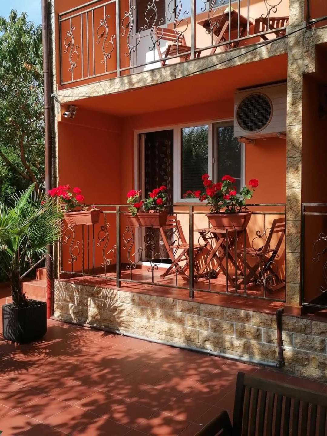 Vila Floarea Etiquette Costineşti Exterior foto